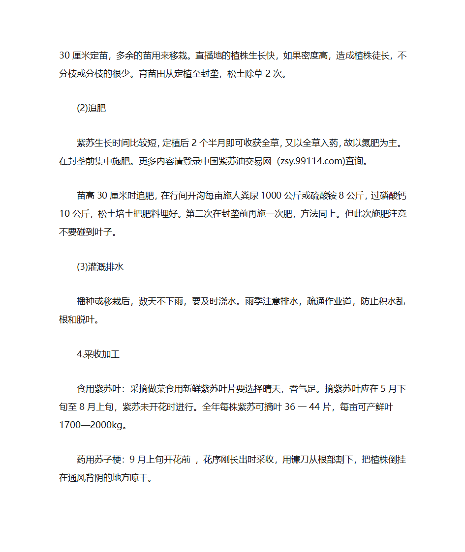 中药紫苏种植技术第2页