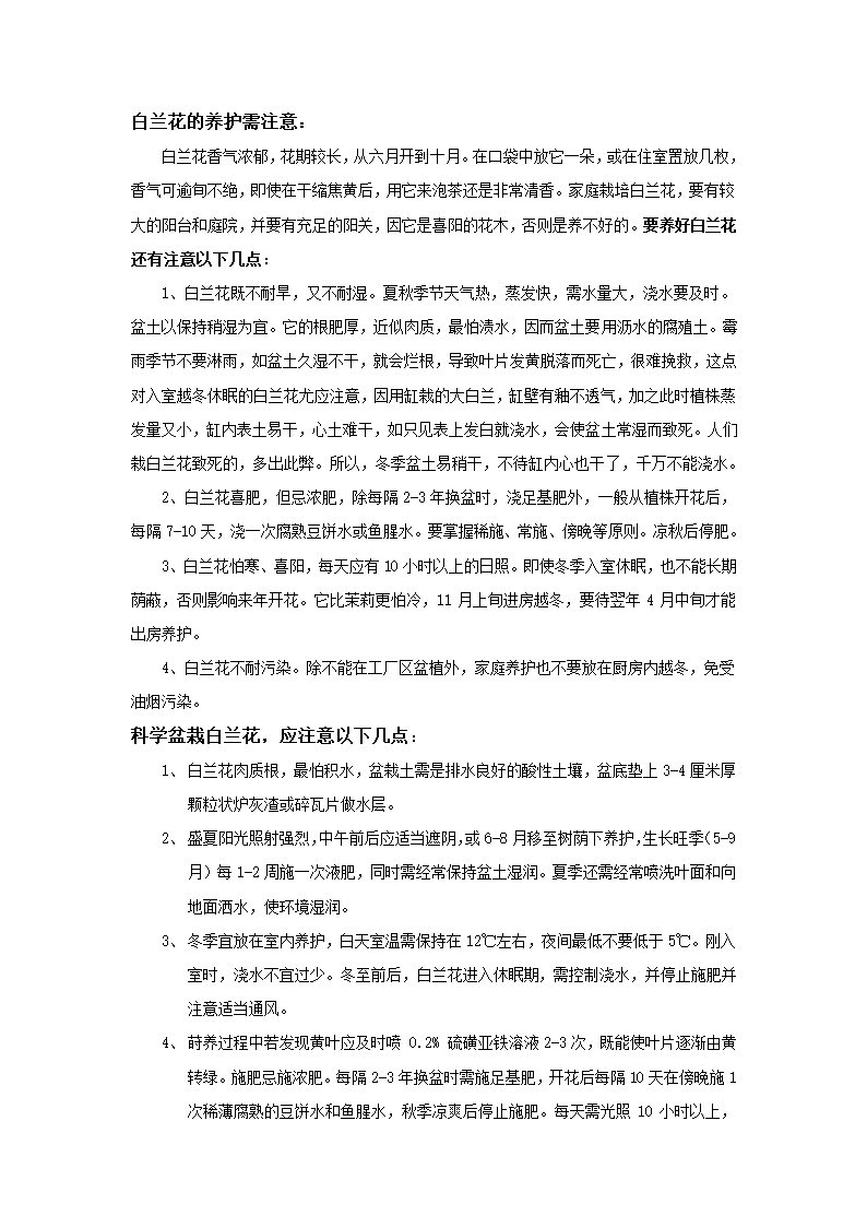 白兰花的养殖第2页