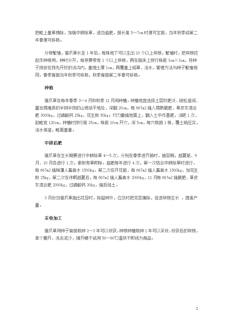 猫爪草的种植栽培注意事项第2页