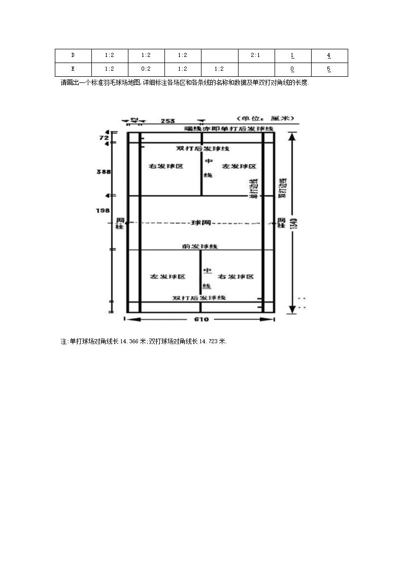 羽毛球考试第3页