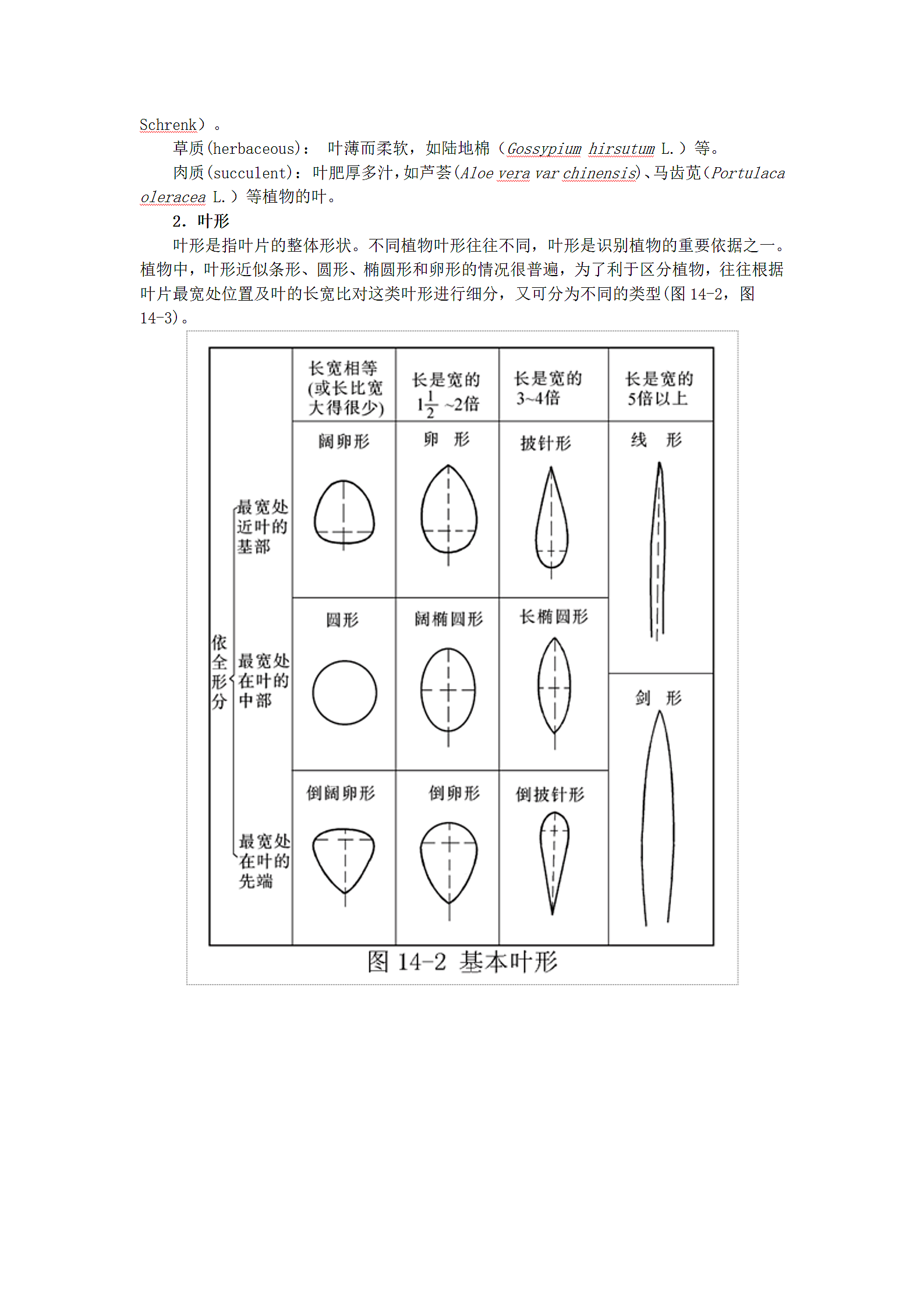 植物形态的辨认第2页