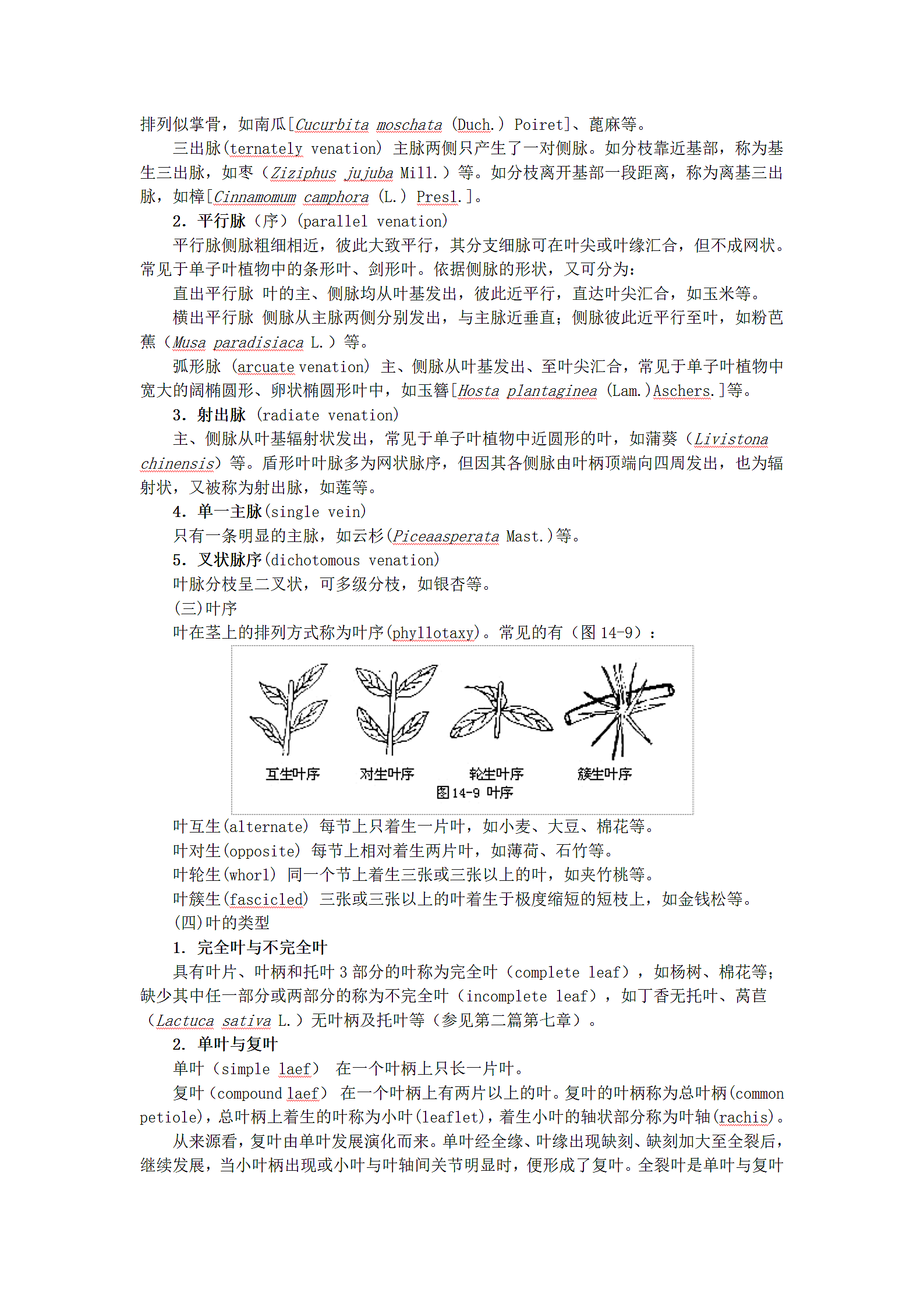 植物形态的辨认第7页