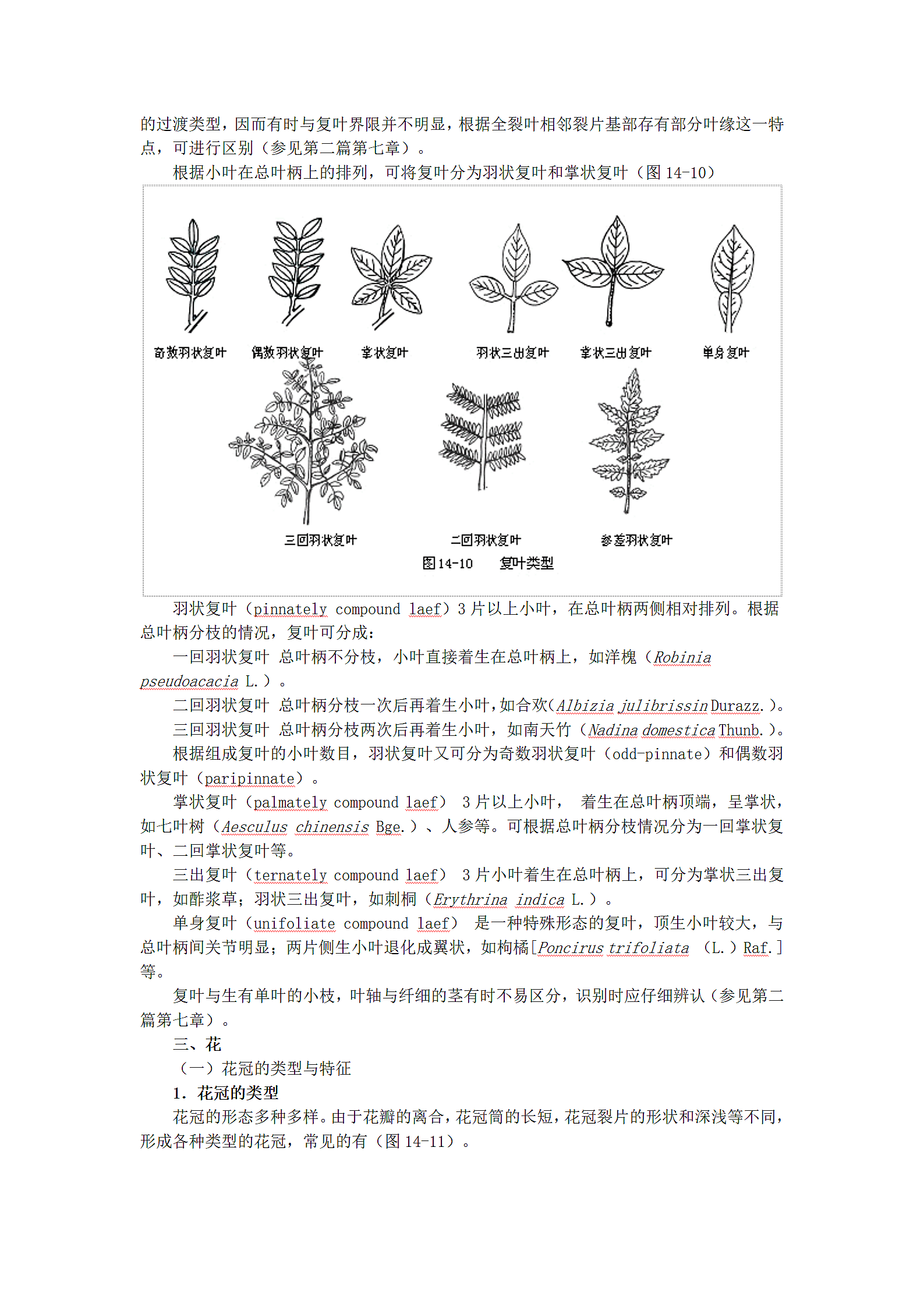 植物形态的辨认第8页