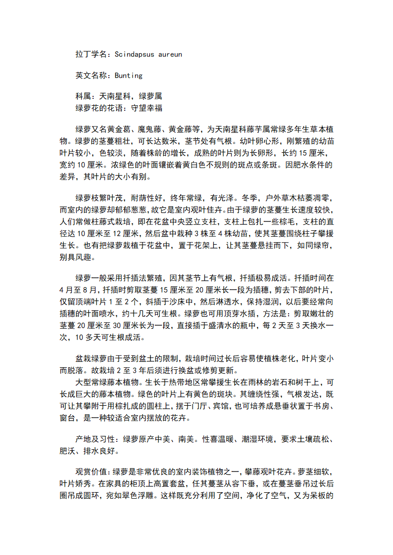 绿萝的养殖方法第2页