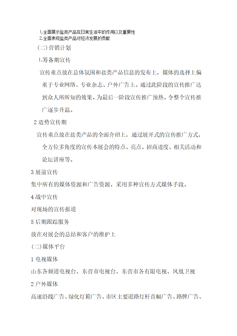 盐类产品项目策划方案第2页