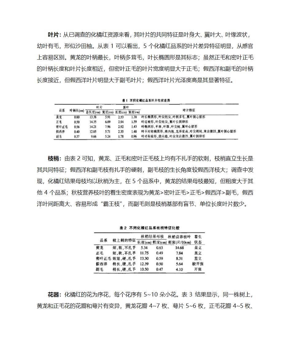 化橘红第4页