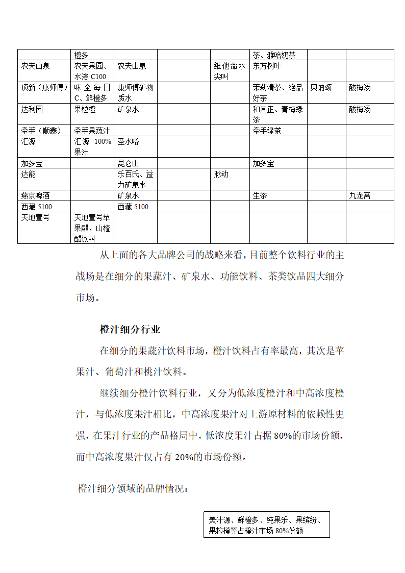 橙汁饮料项目方案第4页