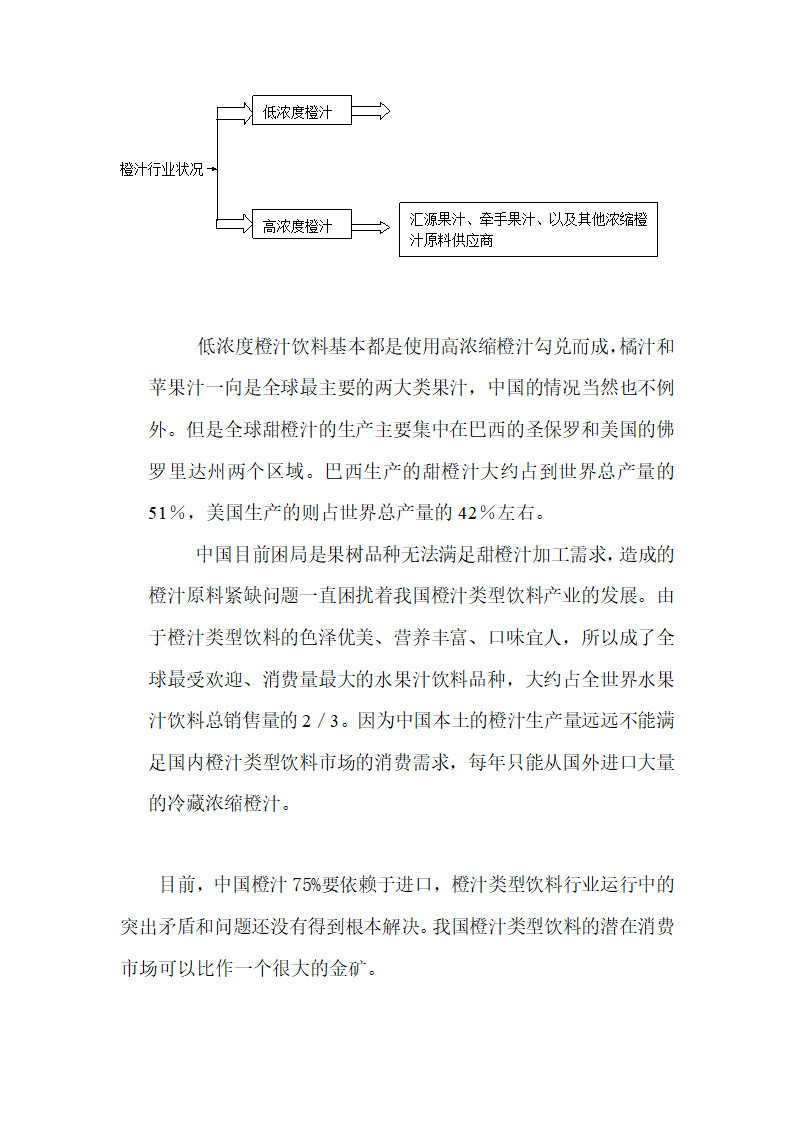 橙汁饮料项目方案第5页