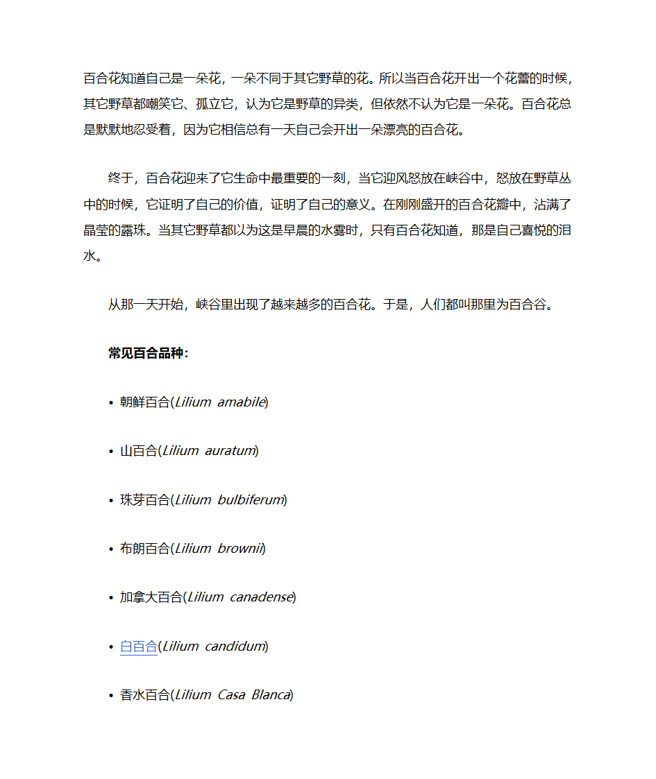 百合花介绍第3页