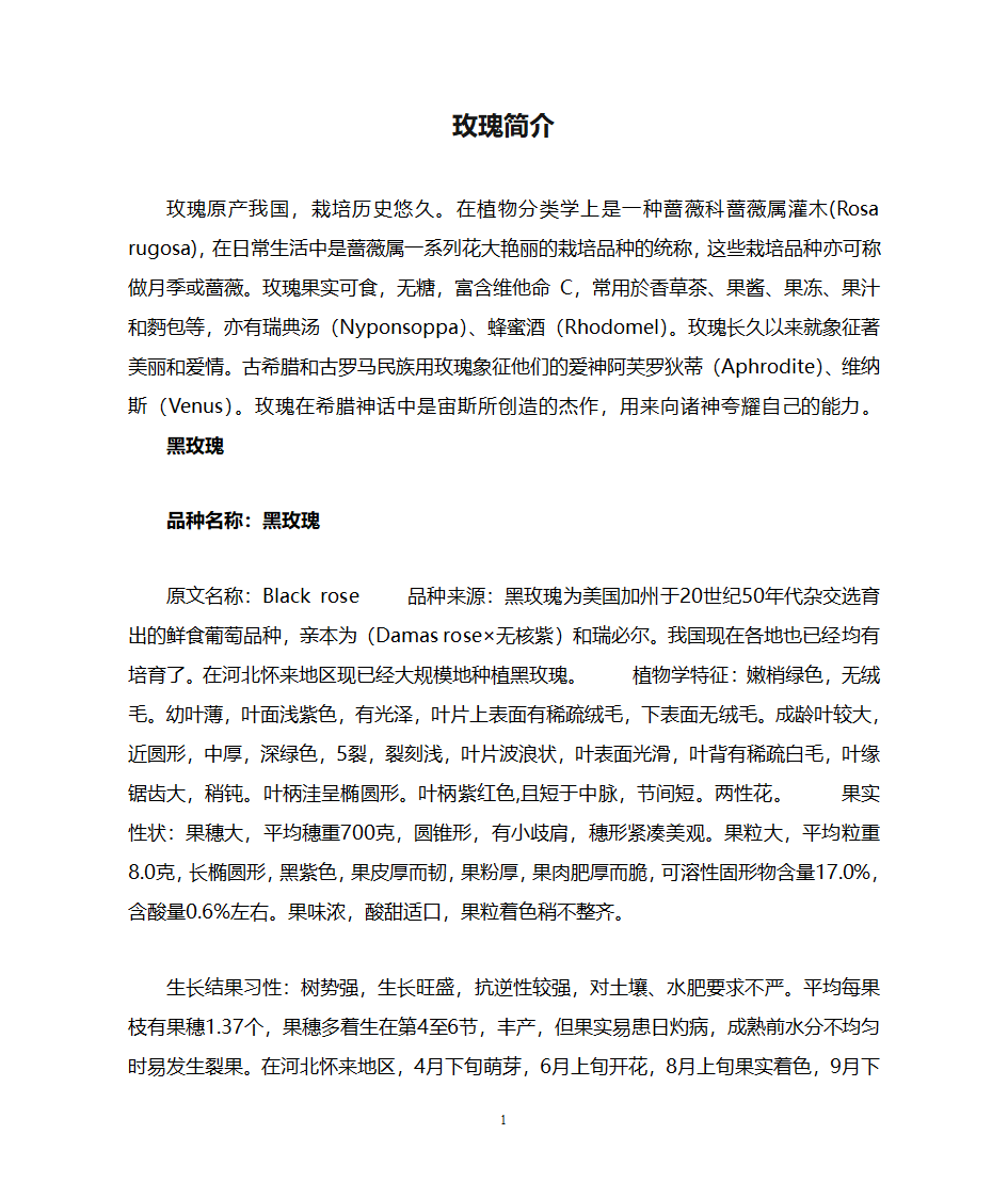 玫瑰简介第1页