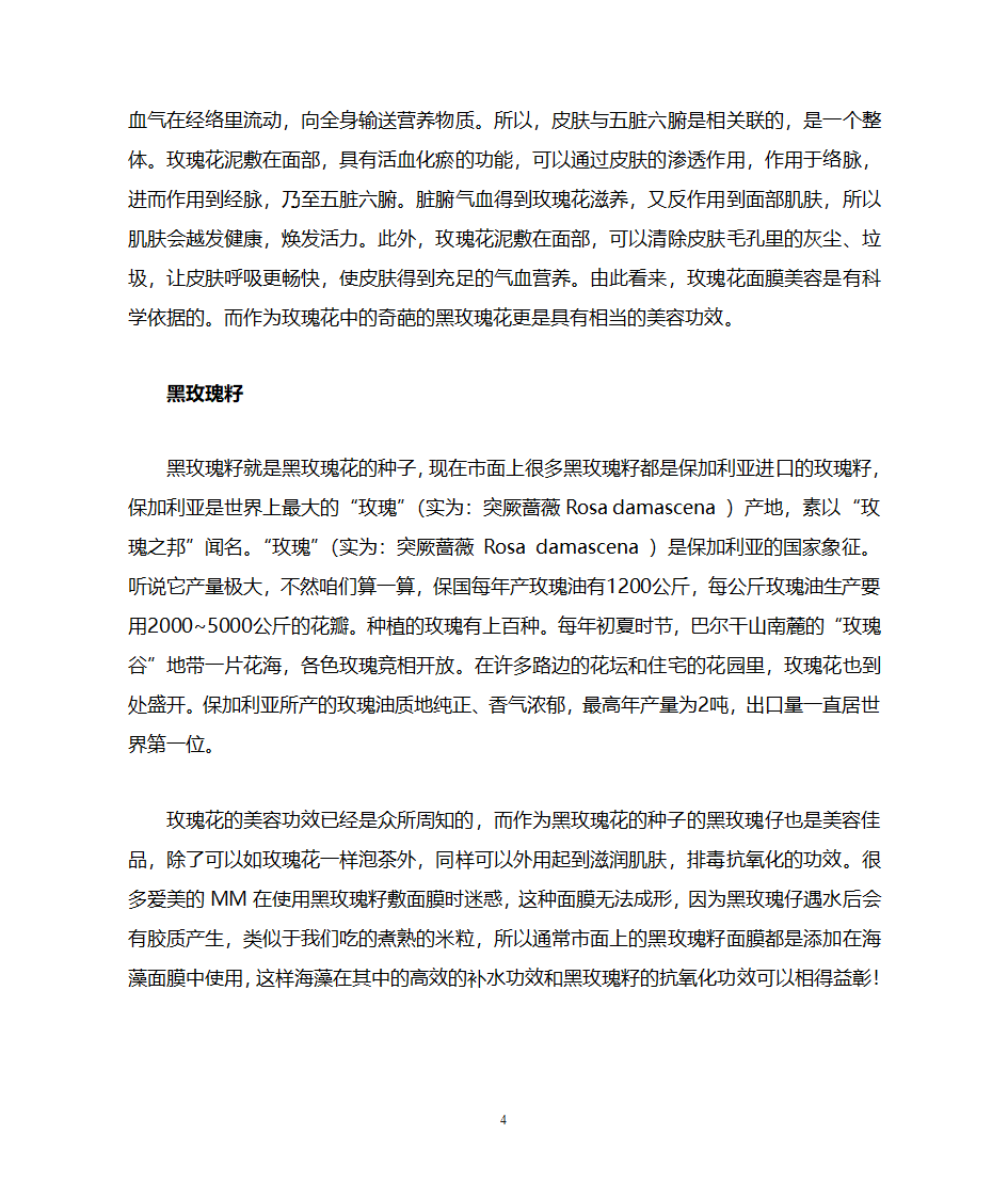 玫瑰简介第4页