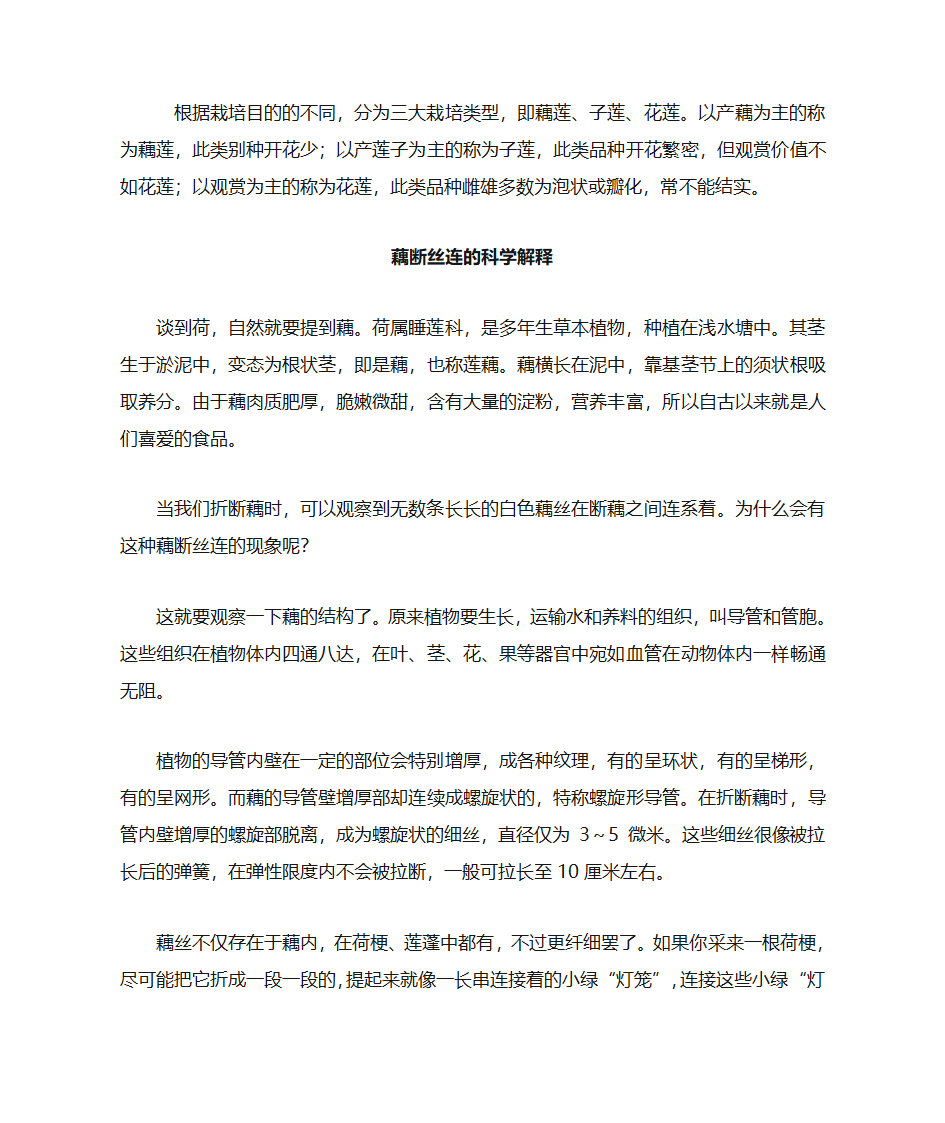 莲的用途第3页