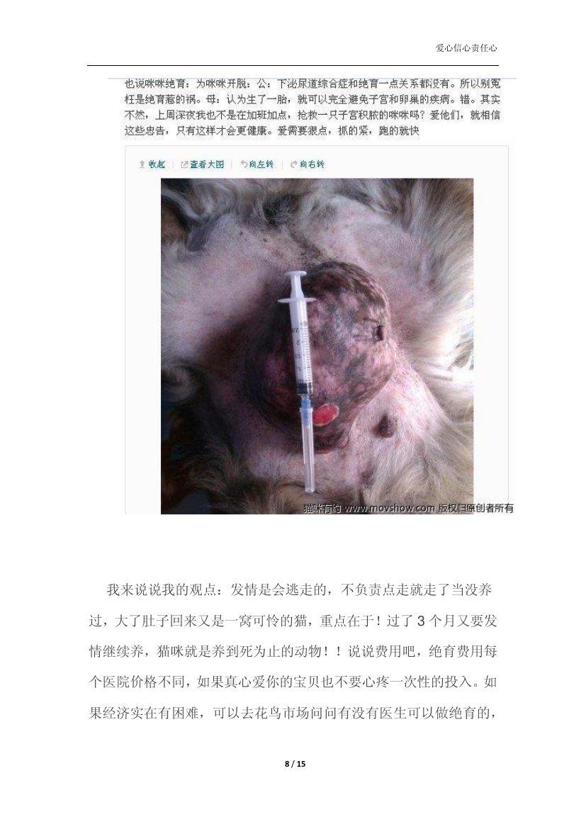 怎么养猫咪第8页