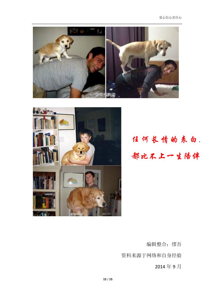 怎么养猫咪第15页