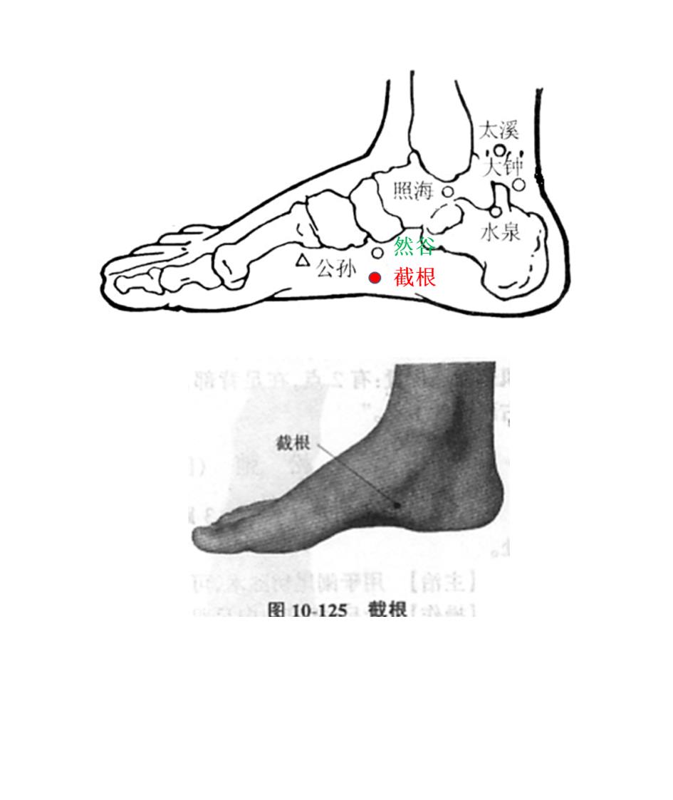 截根穴又名截癌穴第2页