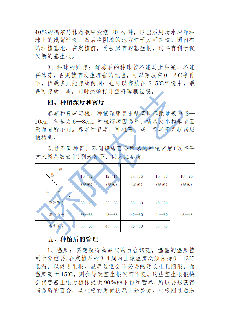 百合栽培技术第2页