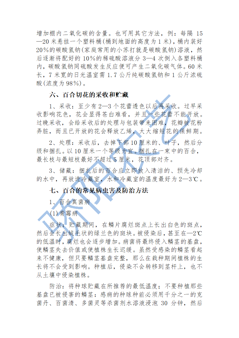 百合栽培技术第4页