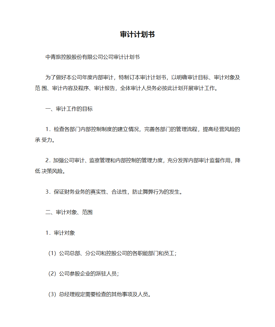 审计计划书第1页