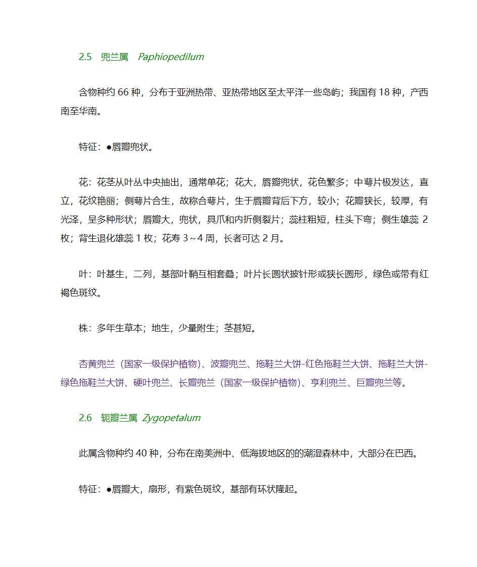 兰花分类第19页