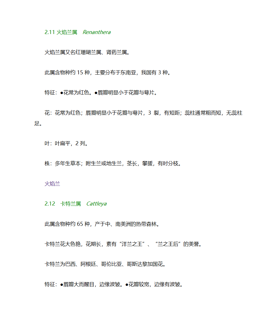 兰花分类第23页