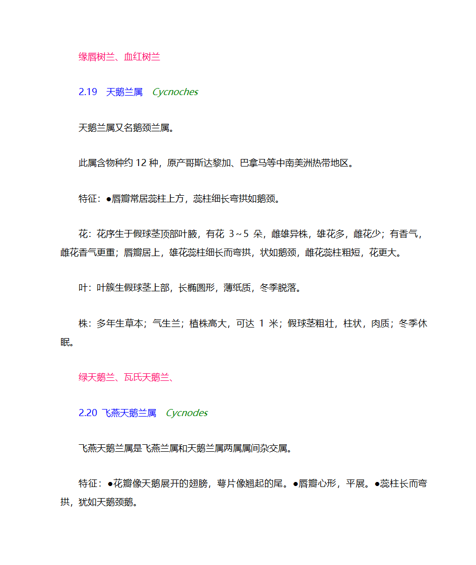 兰花分类第28页