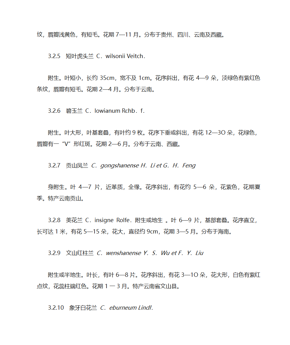 兰花分类第41页