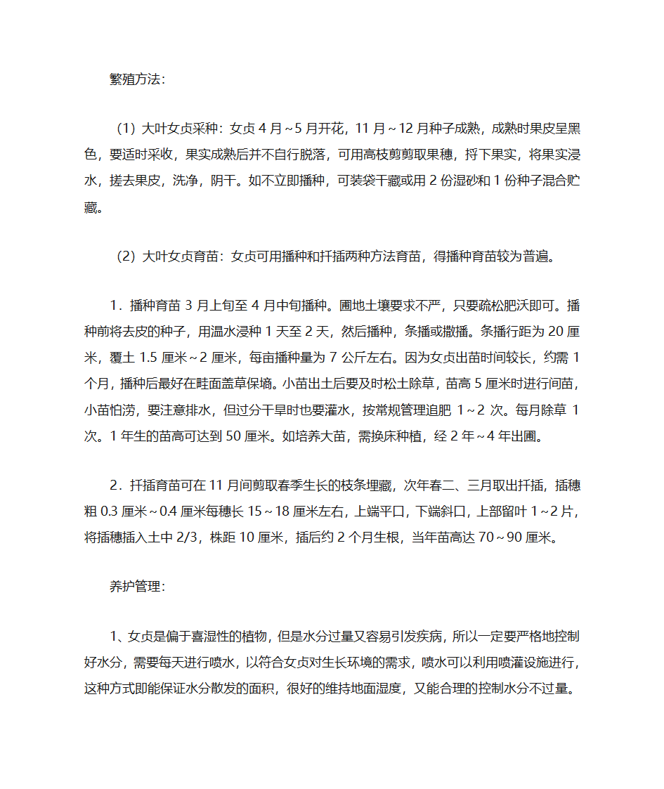 大叶女贞介绍第3页