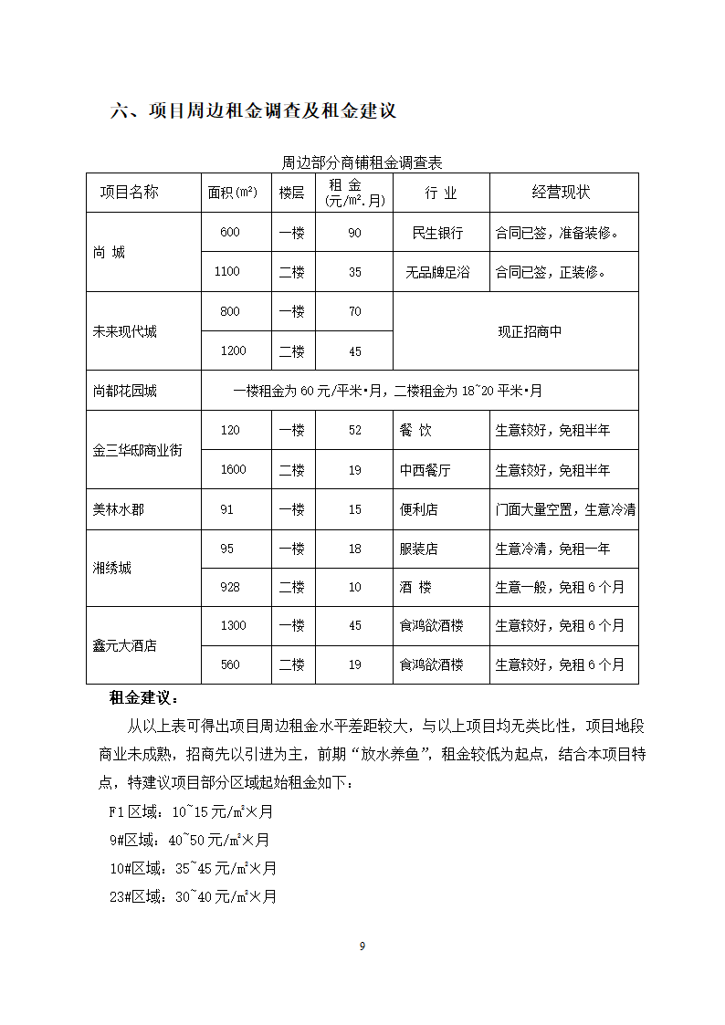 招商建议书案例第9页