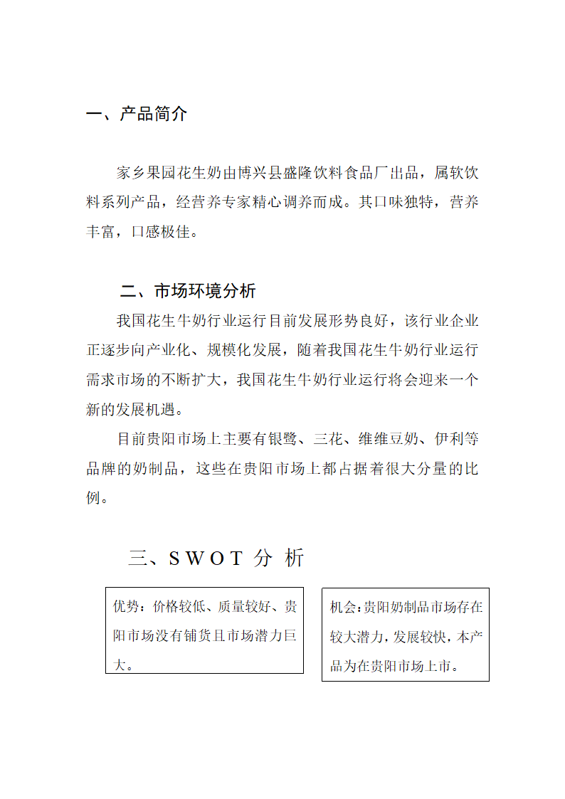 分销渠道建议书第3页