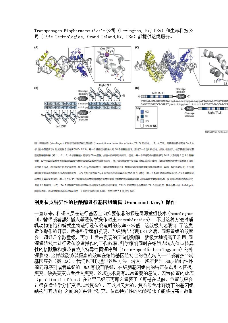 基因编辑技术第8页