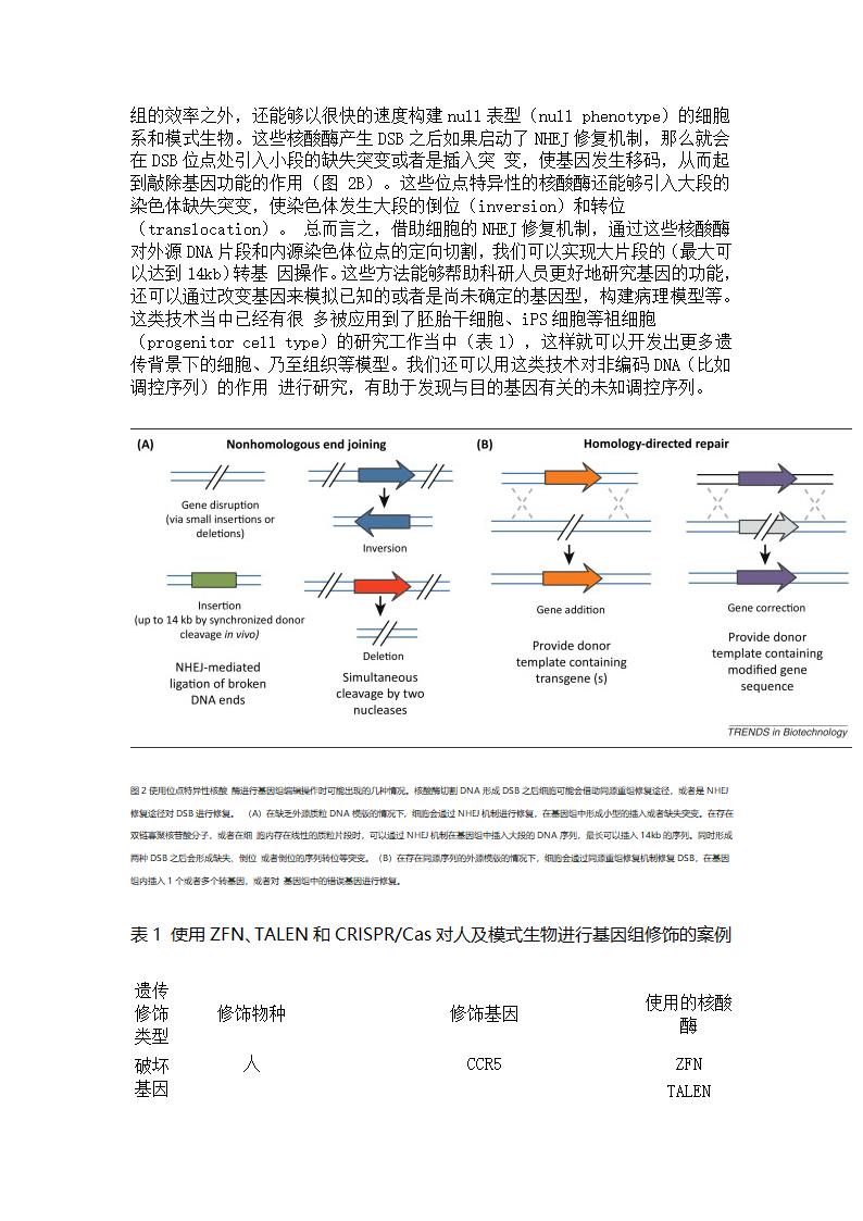 基因编辑技术第9页