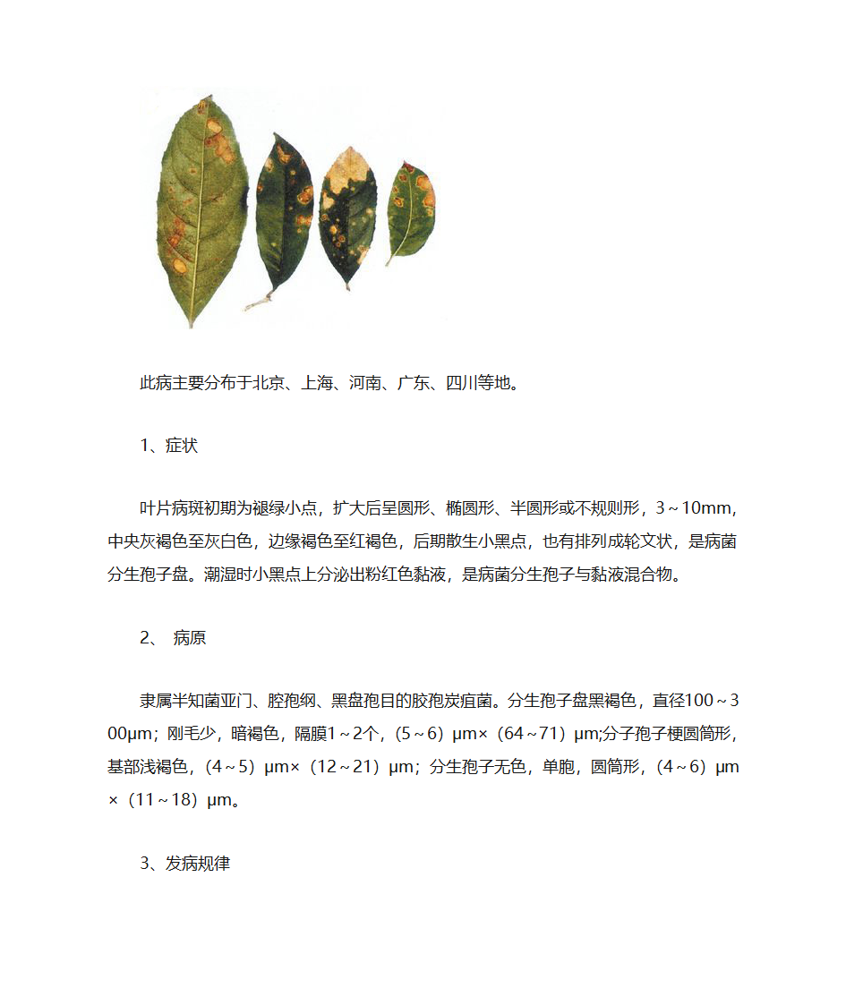 桂花病虫害防治第4页