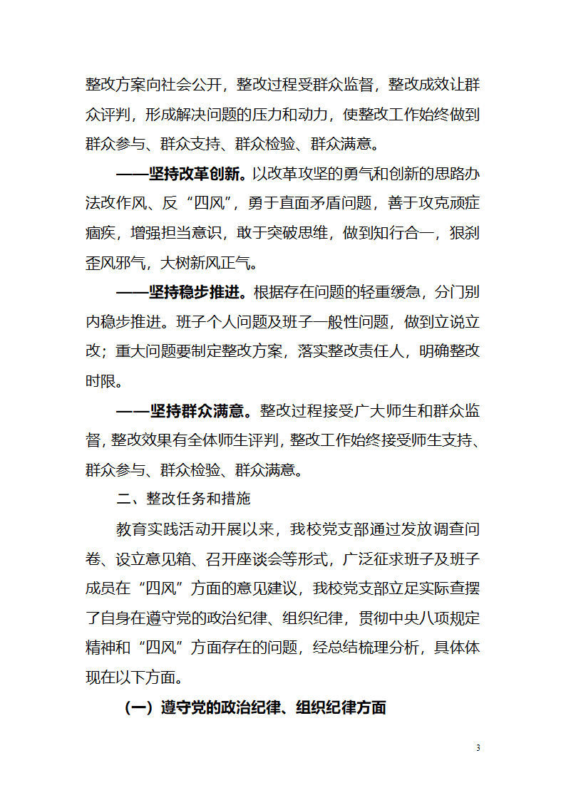 党支部整改方案第3页