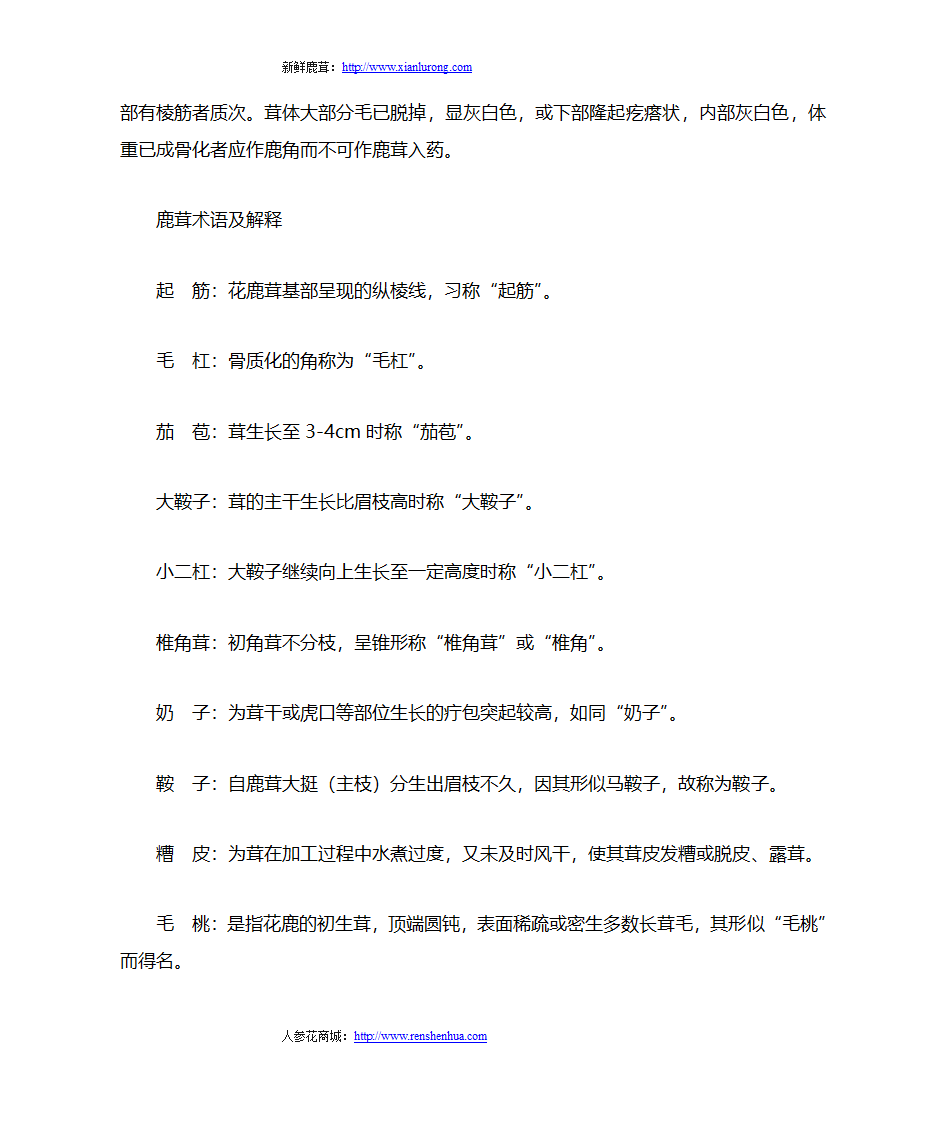 鹿茸的相关术语第3页