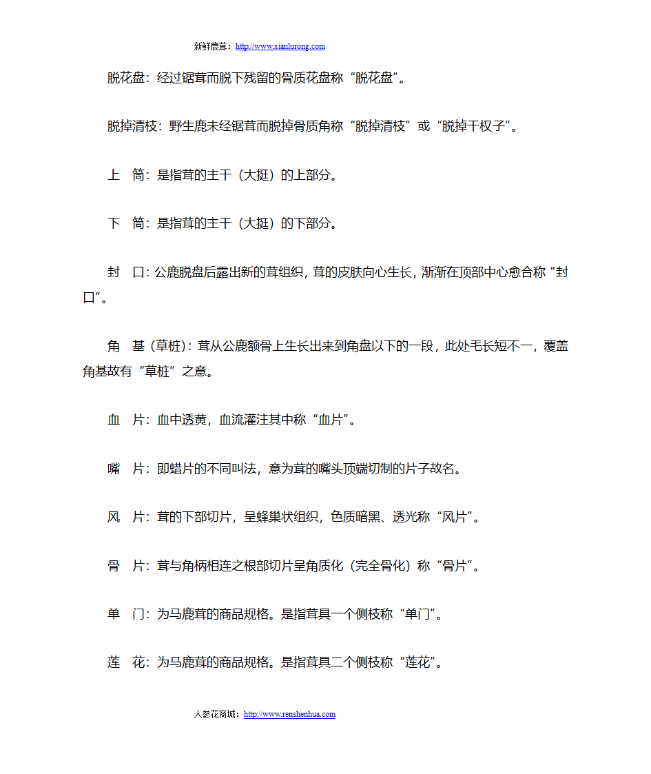 鹿茸的相关术语第6页