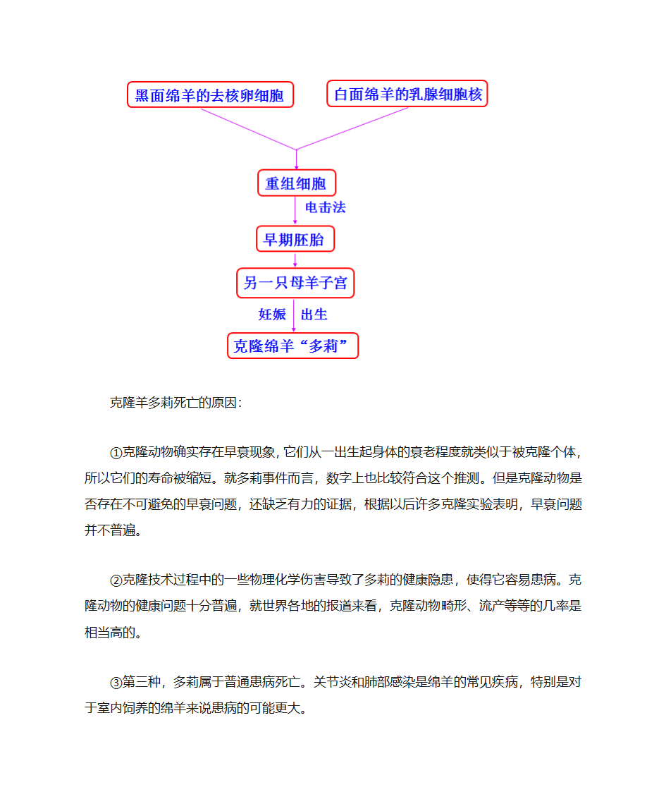 克隆羊的培育过程第2页