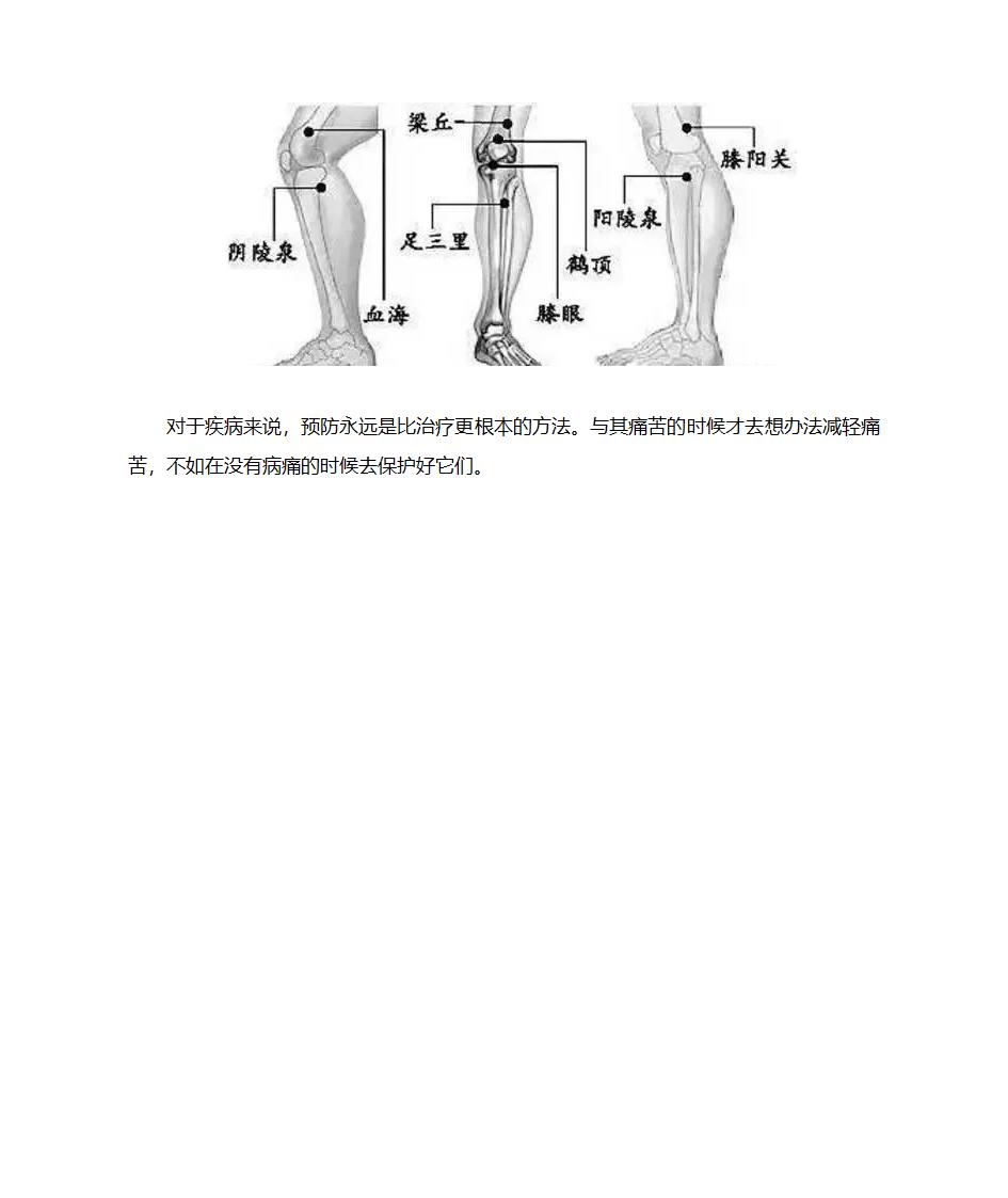 膝盖使用说明书第6页