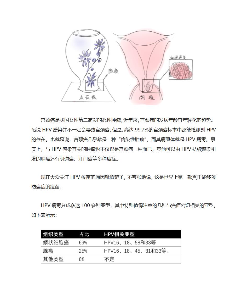 HPV疫苗是什么？第3页