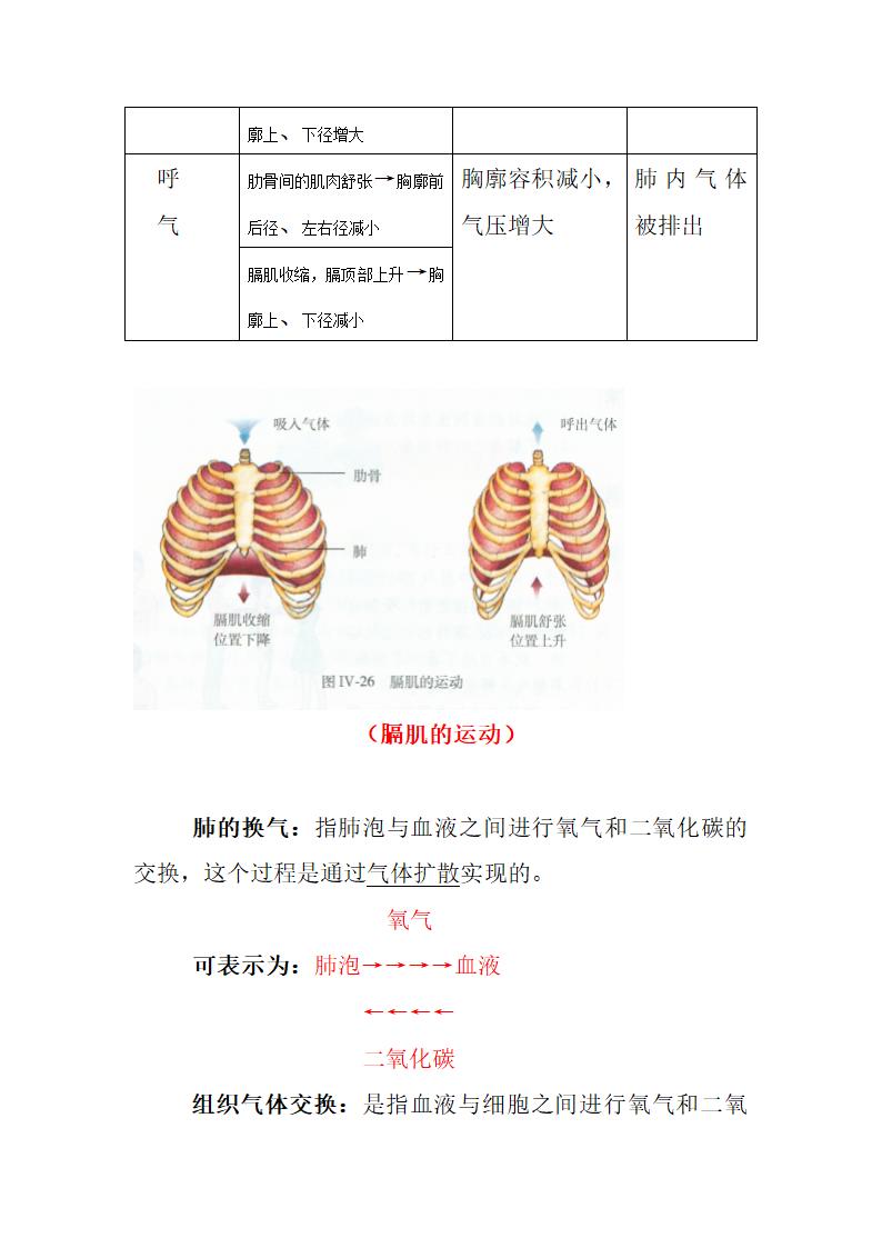 气体交换的过程第2页