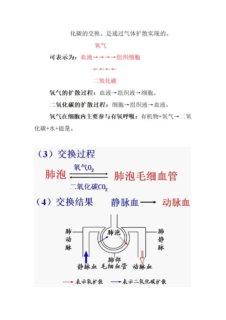 气体交换的过程第3页