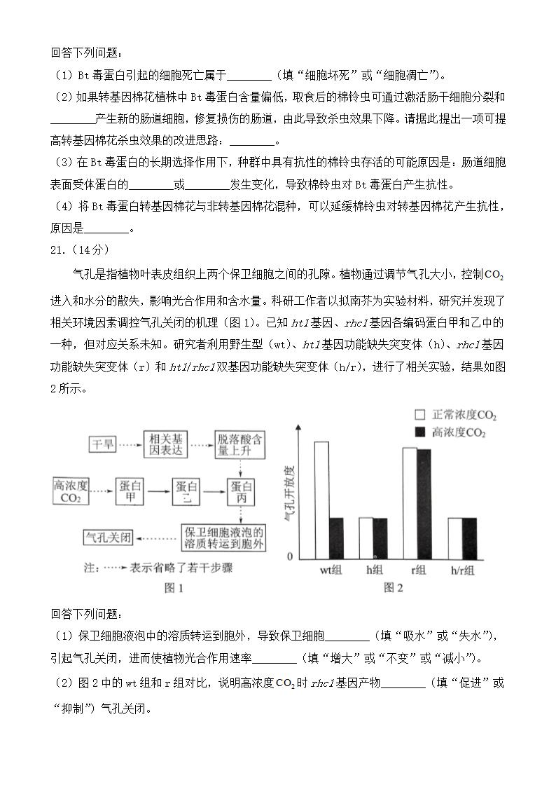 2024年湖北卷生物卷高考真题第7页