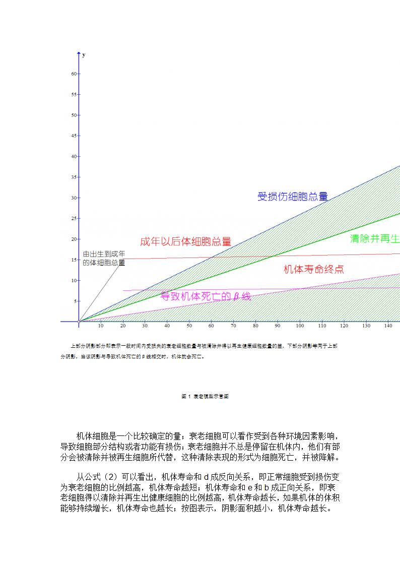 衰老的本质第3页