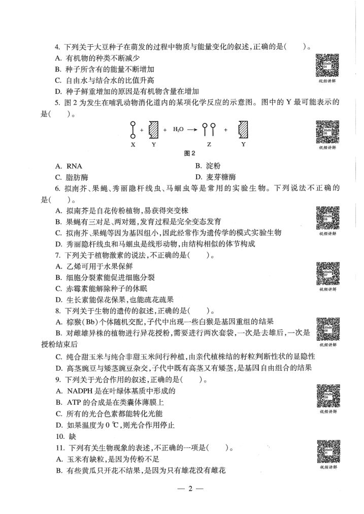 2020年教师资格考试（高中生物）真题第4页