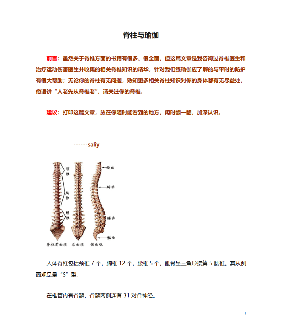 脊柱与瑜伽