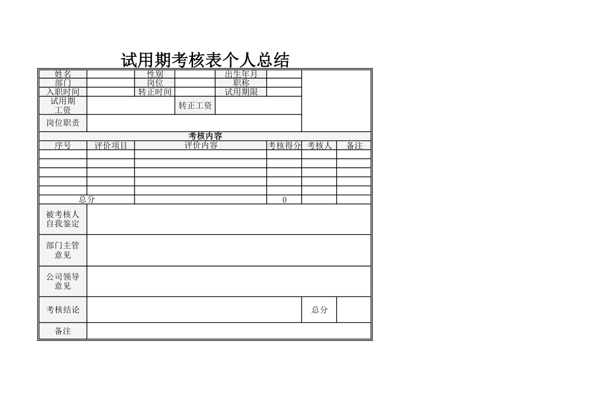 试用期考核表个人总结