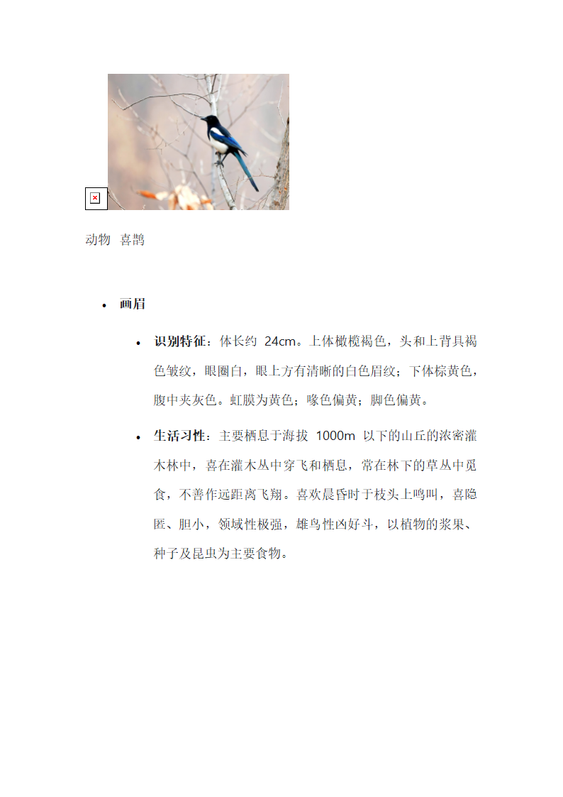 常见鸟类的识别与习性第4页