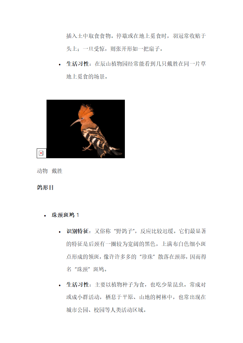 常见鸟类的识别与习性第9页