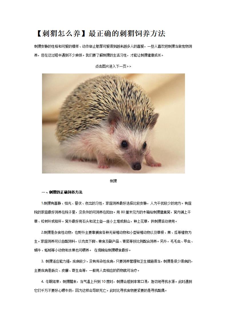 刺猬怎么养