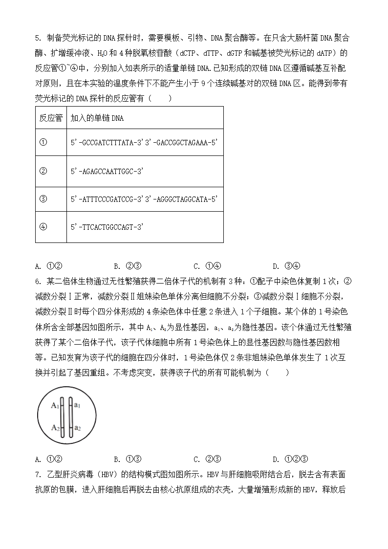 2024年山东生物卷高考真题第2页