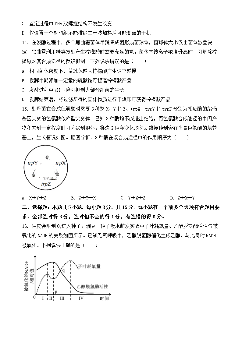 2024年山东生物卷高考真题第5页